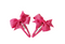 Bow Hair clips in Fuschia Pink