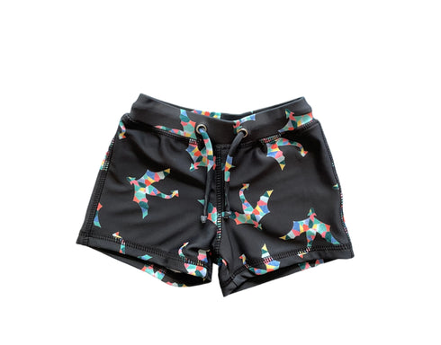 Shortie in Dragonflight