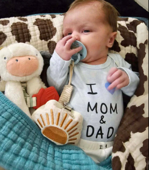 Itzy Lovey Plush And Teether Toy - Cow