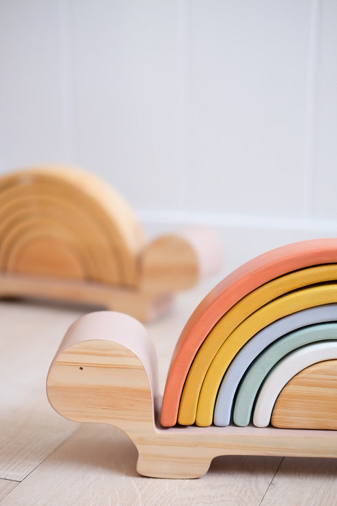 Rainbow Turtle - Day