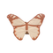 Butterfly Wings - Brown
