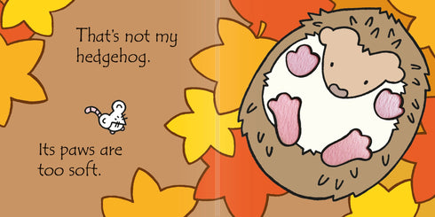 Picture Books - That's not my Hedgehog...
