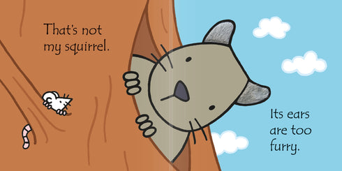 Picture Books - That's not my Squirrel