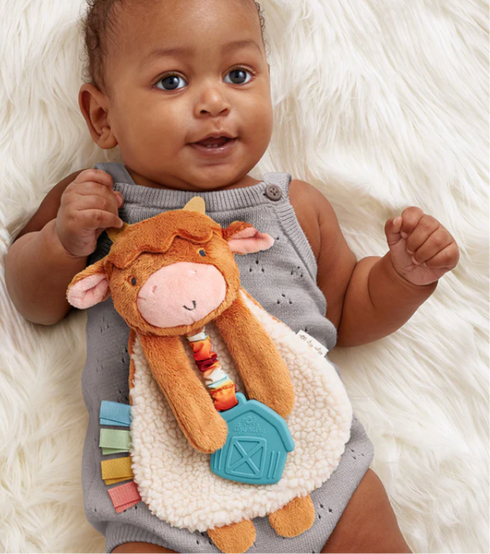 Itzy Lovey Plush And Teether Toy - Highland Cow