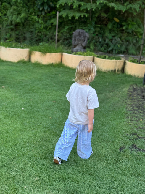 Hipster Striped Blue Pants