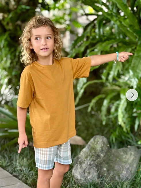 Cotton T-Shirt in Cinnamon