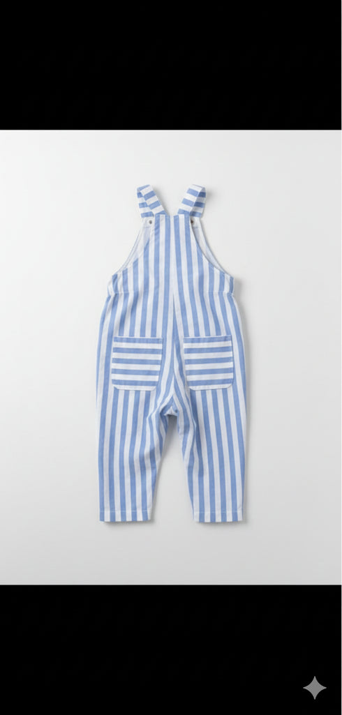 Blue Pinstripe jumpsuit