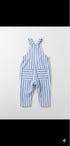Blue Pinstripe jumpsuit